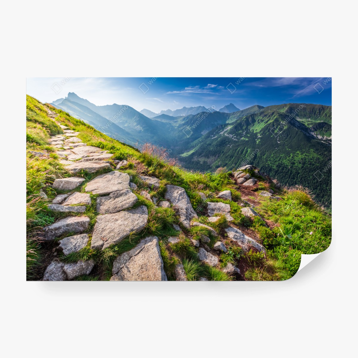 Fototapeta wschód słońca nad szlakiem w Tatrach – Wallissimo® Fototapeta wschód słońca nad szlakiem w Tatrach – Wallissimo®