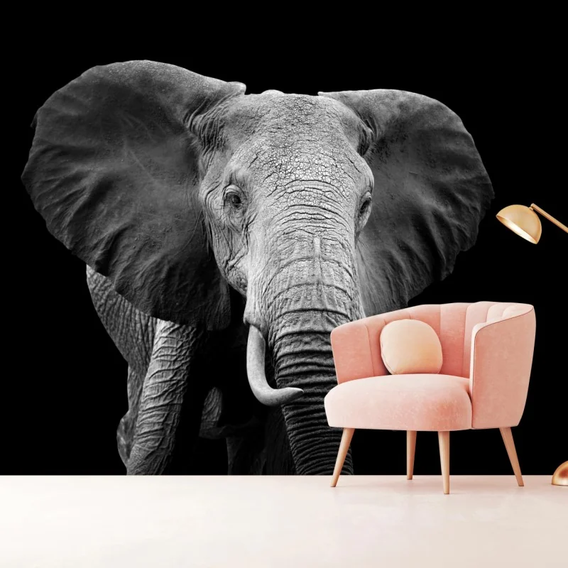 Fototapeta majestatyczny portret słonia czarno-biały – Wallissimo® Fototapeta majestatyczny portret słonia czarno-biały – Wallissimo®