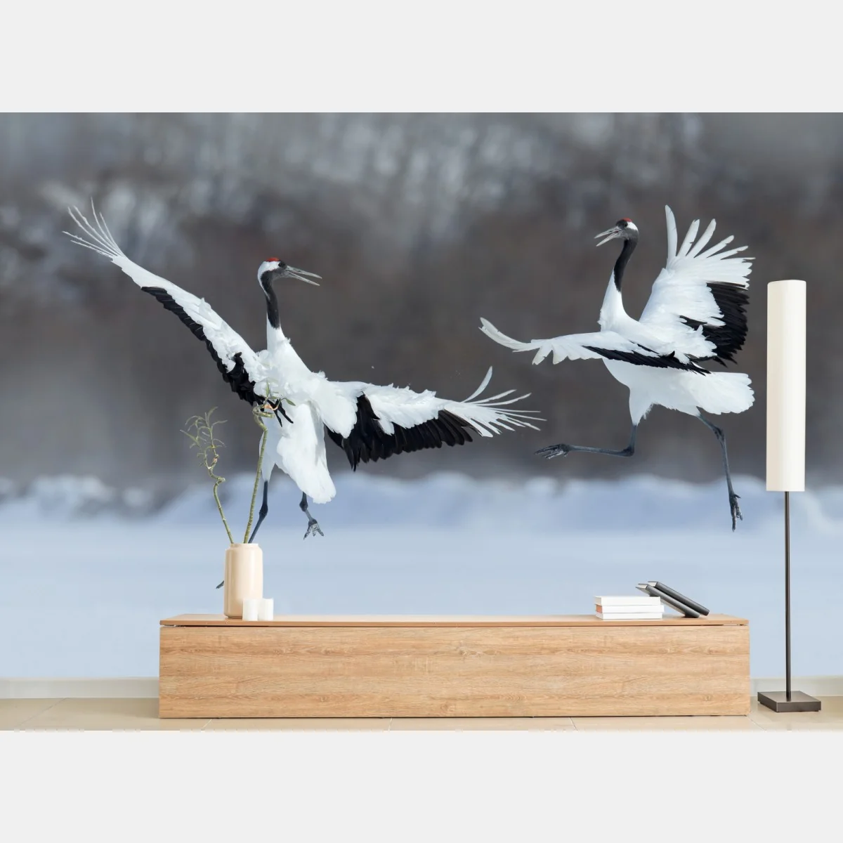 Fototapeta tańczące żurawie koroniaste na śniegu, Hokkaido – Wallissimo® Fototapeta tańczące żurawie koroniaste na śniegu, Hokkaido – Wallissimo®