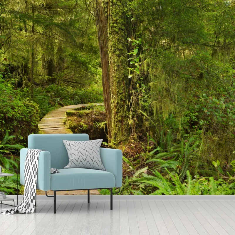 Fototapeta pomost w lesie deszczowym Pacific Rim – Wallissimo® Fototapeta pomost w lesie deszczowym Pacific Rim – Wallissimo®