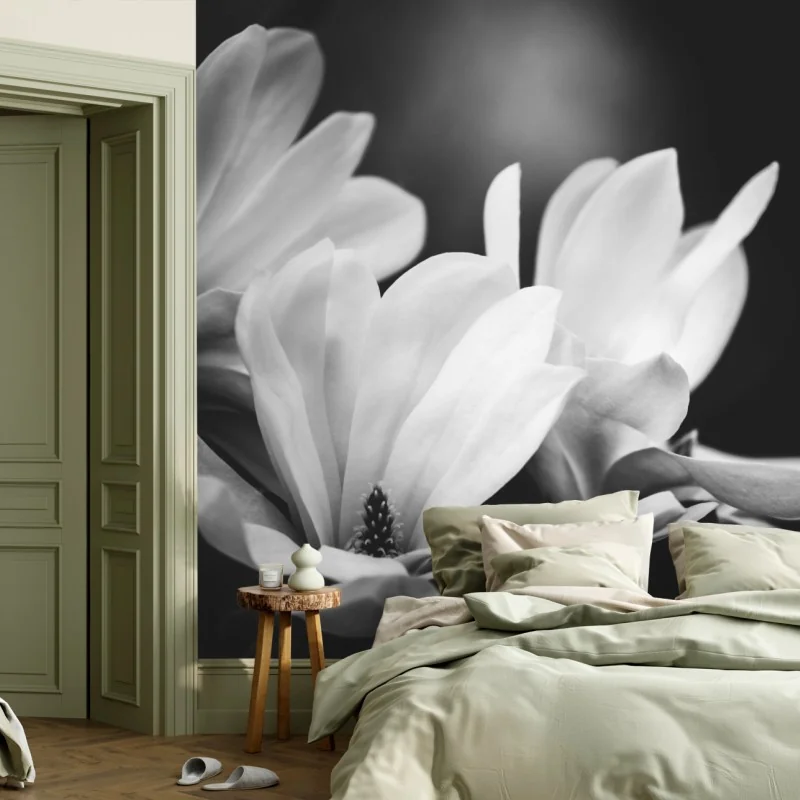 Fototapeta czarno-biała magnolia w zbliżeniu – Wallissimo® Fototapeta czarno-biała magnolia w zbliżeniu – Wallissimo®