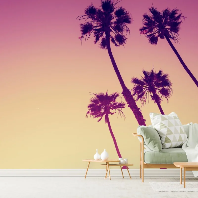 Fototapeta palmy z Kalifornii na Sunset Cliffs – Wallissimo® Fototapeta palmy z Kalifornii na Sunset Cliffs – Wallissimo®