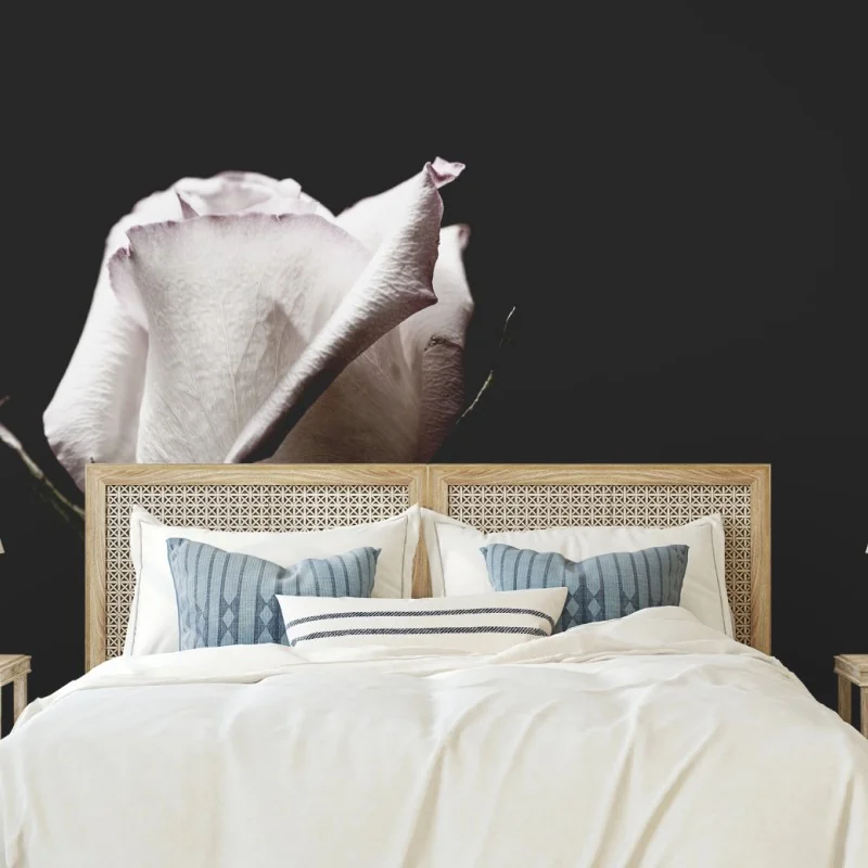 Fototapeta biały róż na czarnym tle – Wallissimo® Fototapeta biały róż na czarnym tle – Wallissimo®