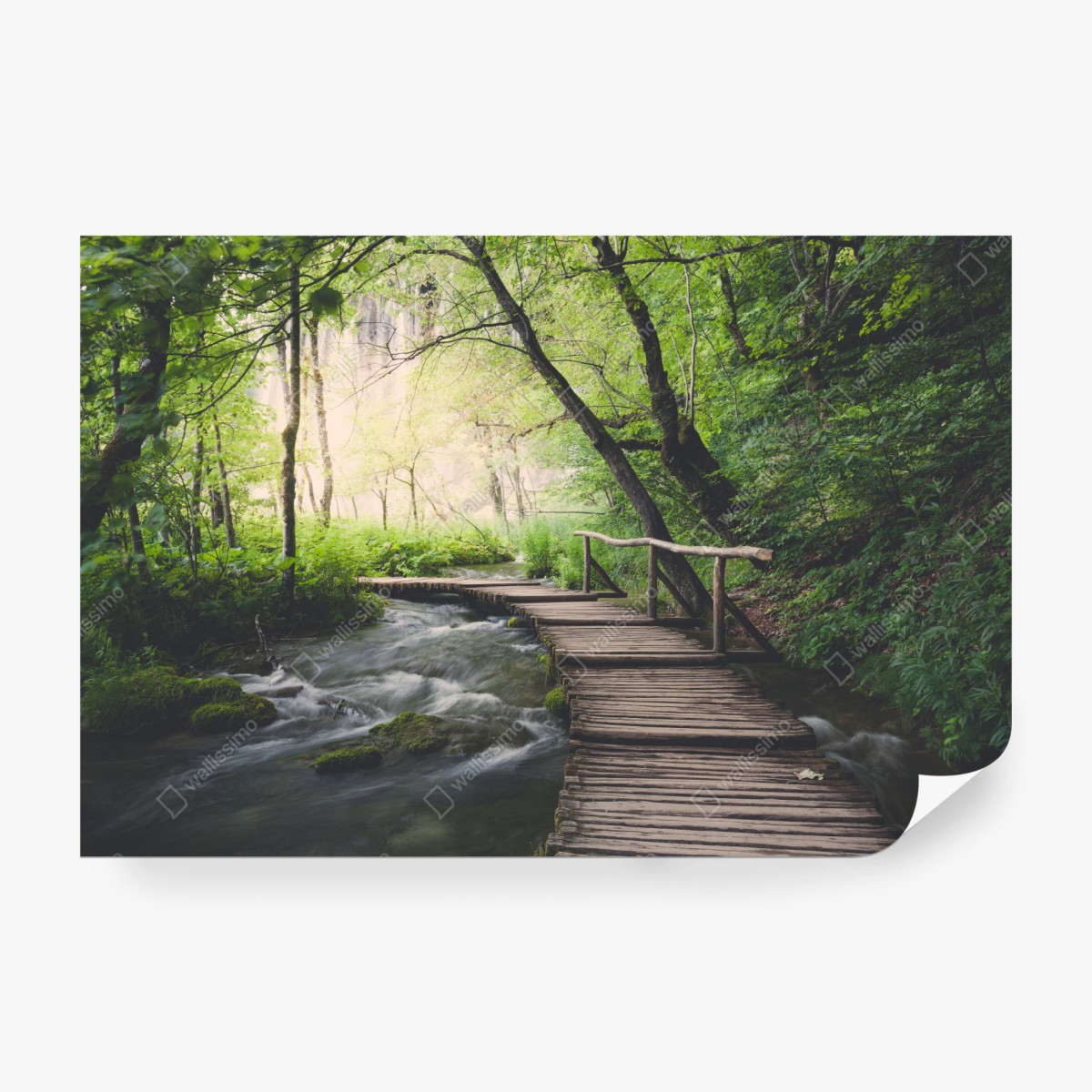 Fototapeta spokojna drewniana kładka w zielonym lesie – Wallissimo® Fototapeta spokojna drewniana kładka w zielonym lesie – Wallissimo®