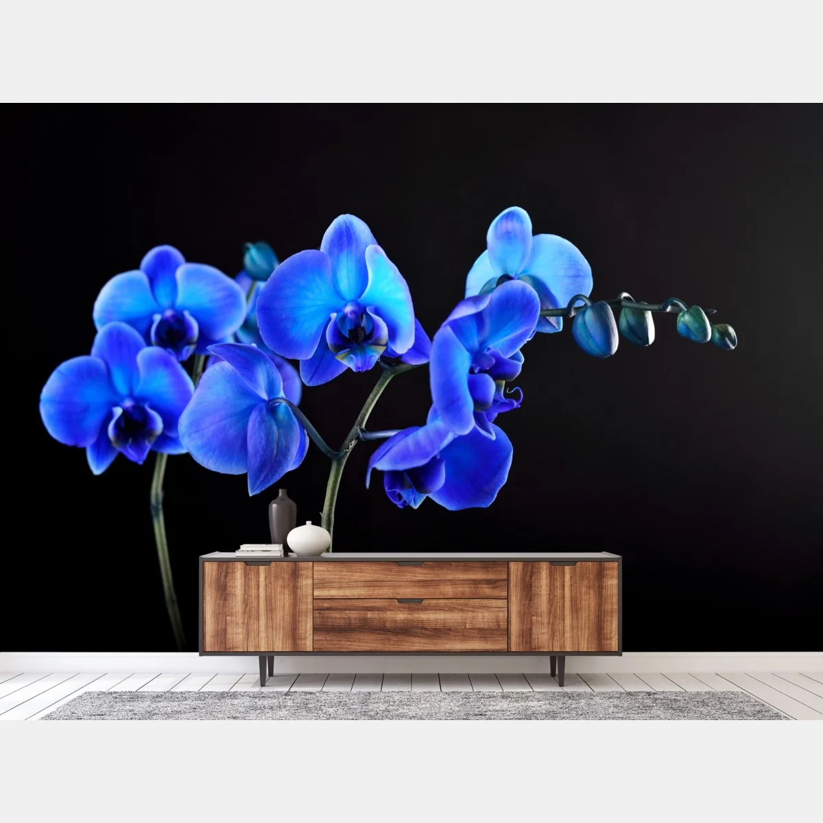 Fototapeta intensywna niebieska orchidea na czarnym tle – Wallissimo®