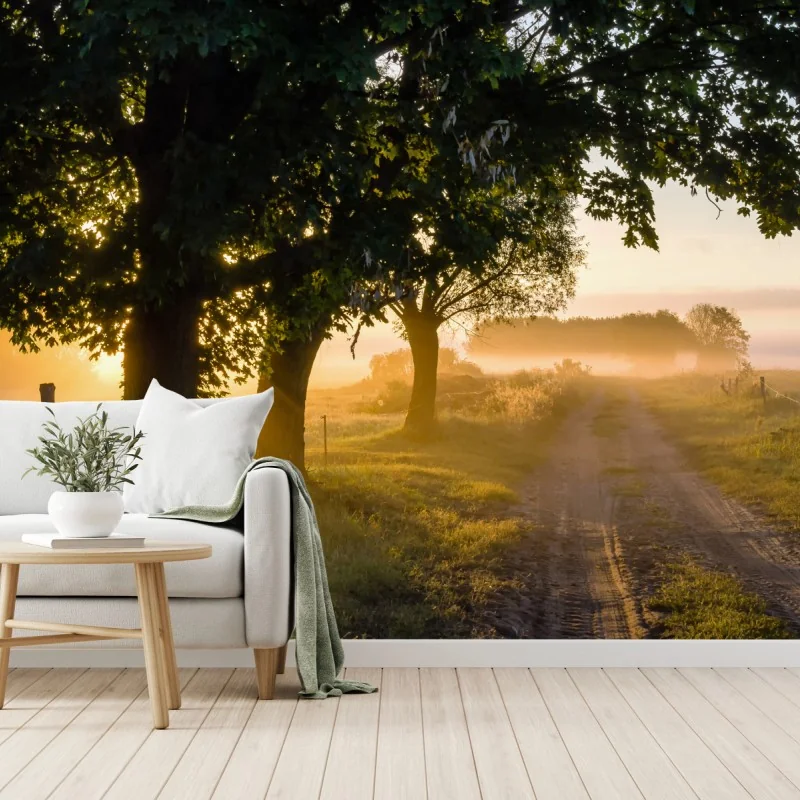 Fototapeta słoneczna wiejska droga o świcie – Wallissimo® Fototapeta słoneczna wiejska droga o świcie – Wallissimo®