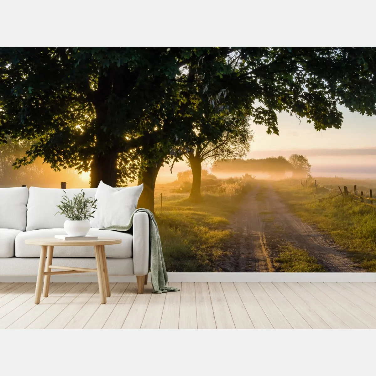 Fototapeta słoneczna wiejska droga o świcie – Wallissimo® Fototapeta słoneczna wiejska droga o świcie – Wallissimo®