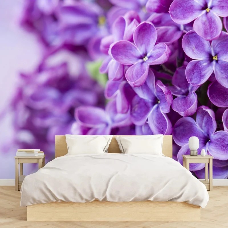 Fototapeta fioletowe kwiaty lilaka zbliżenie – Wallissimo® Fototapeta fioletowe kwiaty lilaka zbliżenie – Wallissimo®