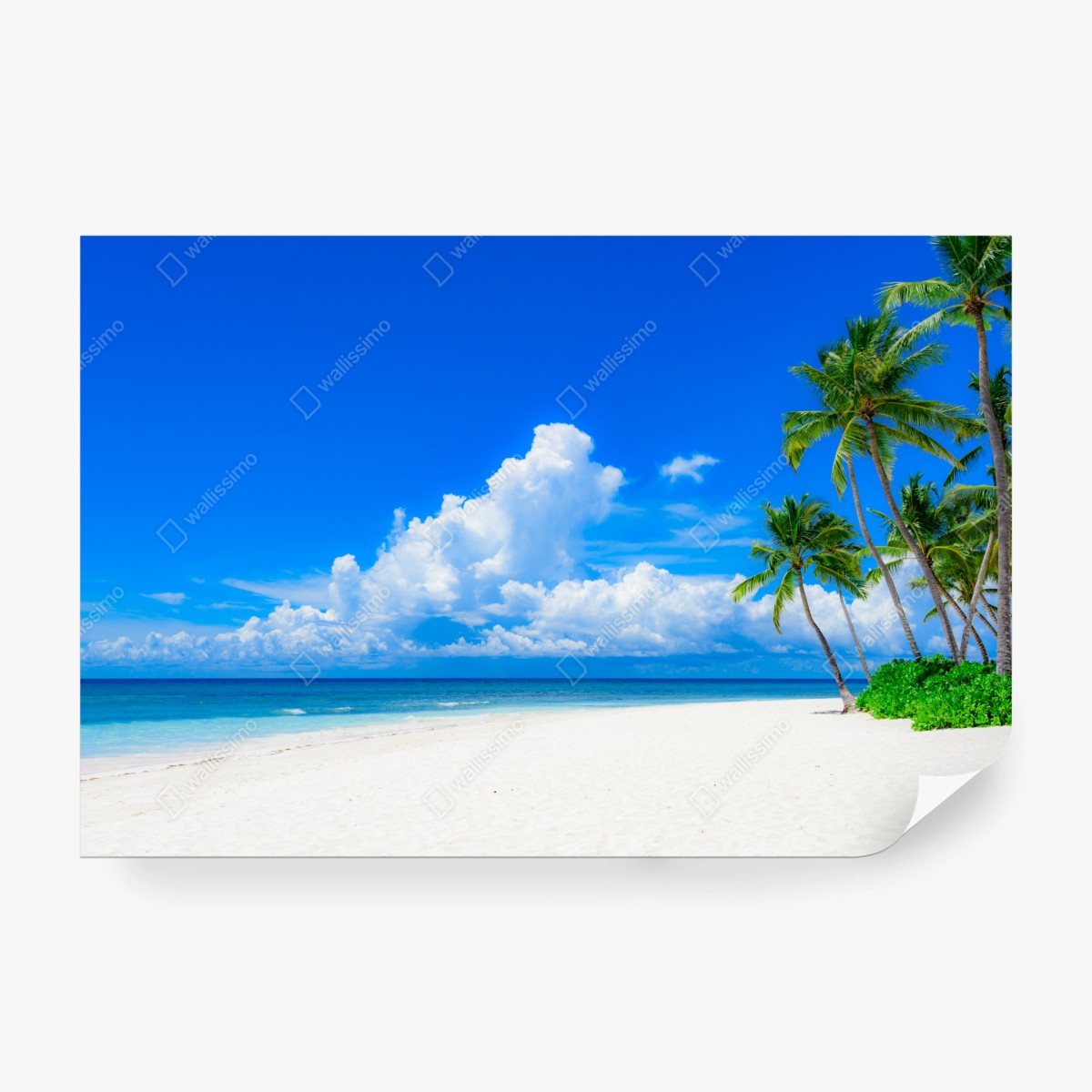 Fototapeta tropikalna plaża z palmami pod błękitnym niebem – Wallissimo® Fototapeta tropikalna plaża z palmami pod błękitnym niebem – Wallissimo®