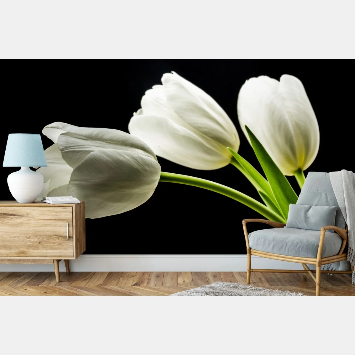 Fototapeta eleganckie białe tulipany na czarnym tle – Wallissimo® Fototapeta eleganckie białe tulipany na czarnym tle – Wallissimo®