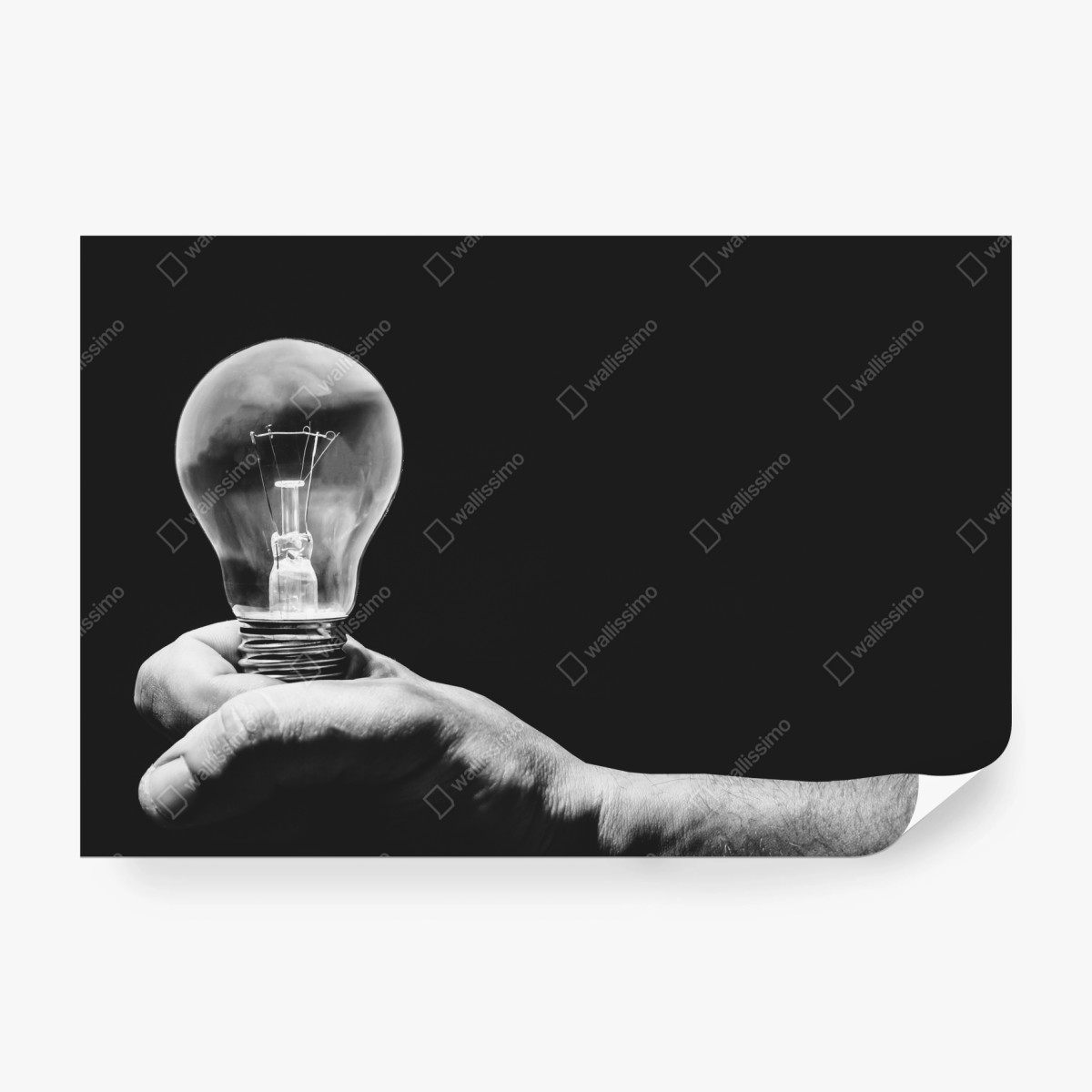 Fototapeta monochromatyczna ręka trzymająca żarówkę – Wallissimo® Fototapeta monochromatyczna ręka trzymająca żarówkę – Wallissimo®