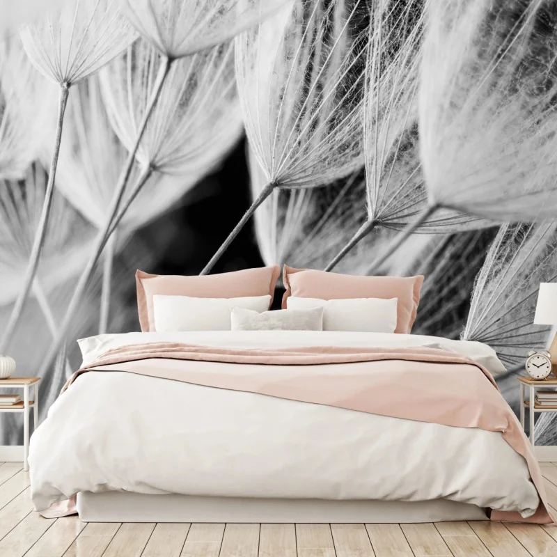 Fototapeta delikatne zbliżenie nasion dmuchawca czarno-białe – Wallissimo® Fototapeta delikatne zbliżenie nasion dmuchawca czarno-białe – Wallissimo®