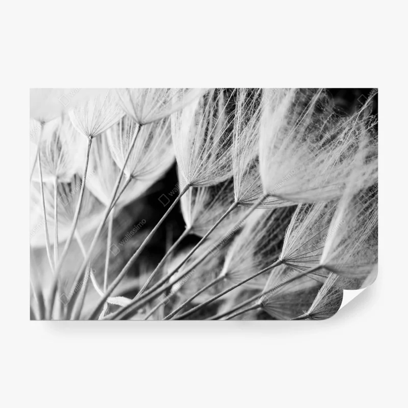 Fototapeta tropikalna plaża z palmami – Wallissimo®