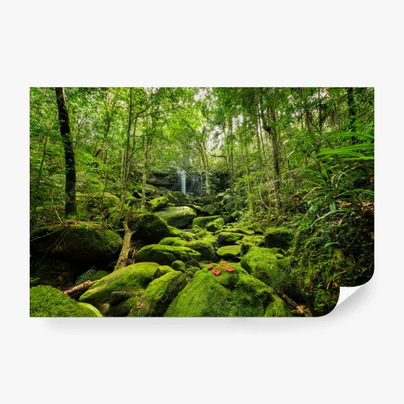Fototapeta bujny wodospad w Mt Field National Park, Tasmania – Wallissimo®