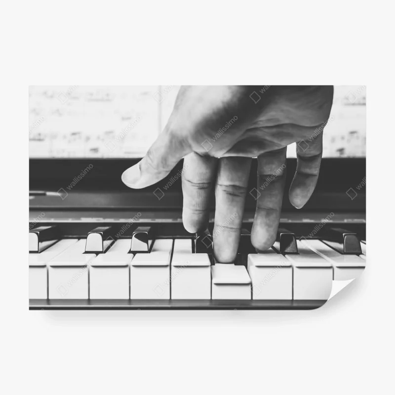 Fototapeta żywe czerwone róże kolaż – Wallissimo®