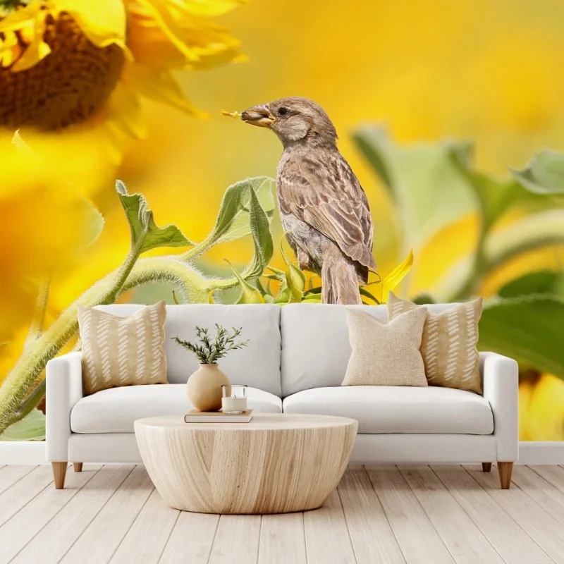 Fototapeta wróbel na słoneczniku – Wallissimo® Fototapeta wróbel na słoneczniku – Wallissimo®