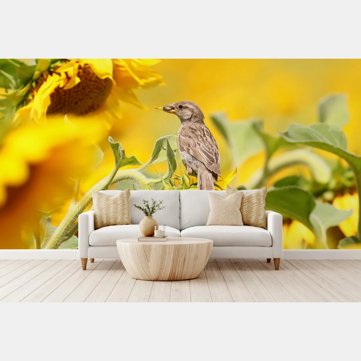 Fototapeta wróbel na słoneczniku – Wallissimo® Fototapeta wróbel na słoneczniku – Wallissimo®