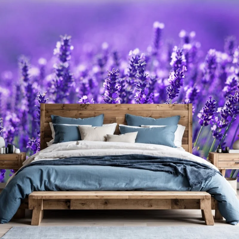 Fototapeta zbliżenie pola lawendy – Wallissimo® Fototapeta zbliżenie pola lawendy – Wallissimo®