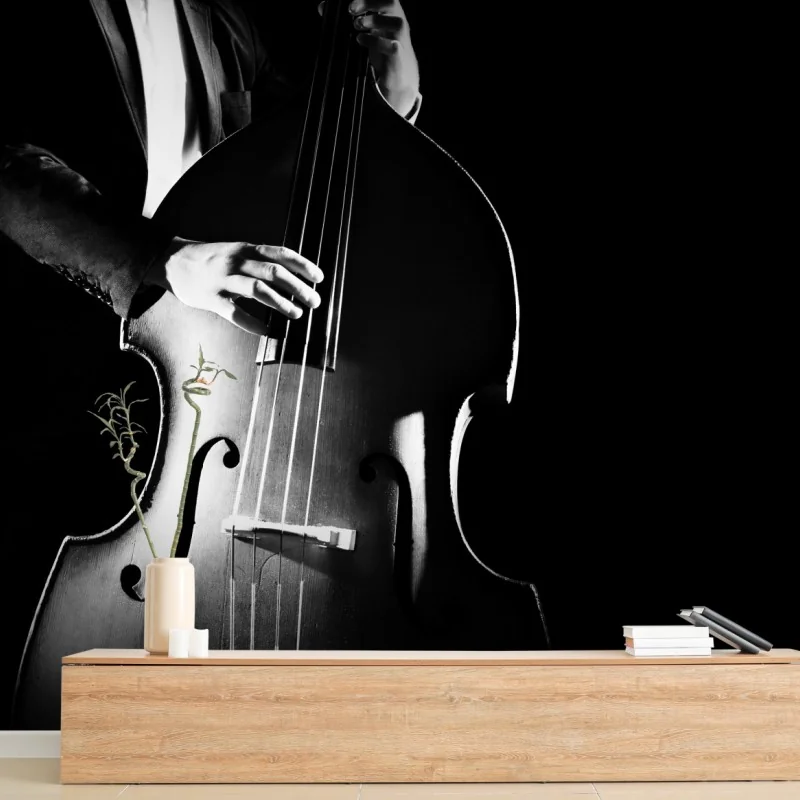 Fototapeta kontrabasista w dramatycznym świetle – Wallissimo® Fototapeta kontrabasista w dramatycznym świetle – Wallissimo®