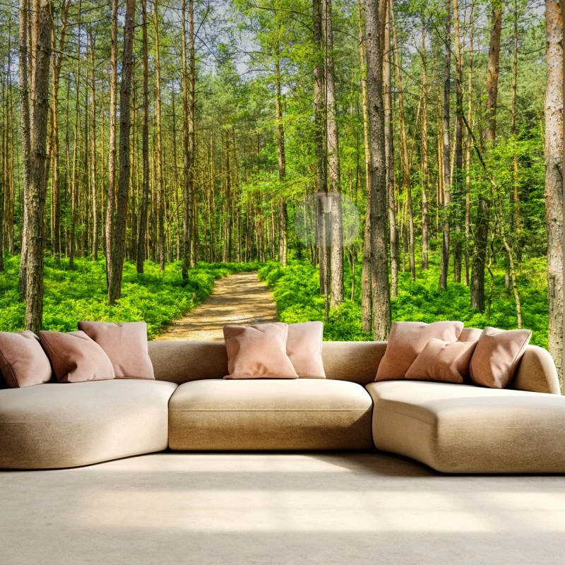 Fototapeta słoneczna leśna ścieżka wśród sosen – Wallissimo® Fototapeta słoneczna leśna ścieżka wśród sosen – Wallissimo®