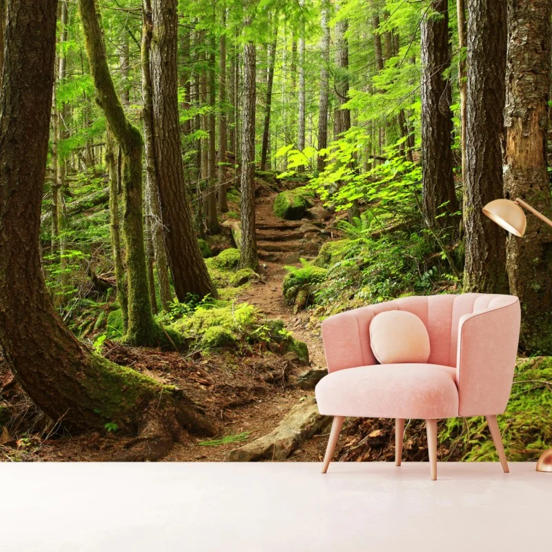 Fototapeta mchowa leśna ścieżka – Wallissimo® Fototapeta mchowa leśna ścieżka – Wallissimo®