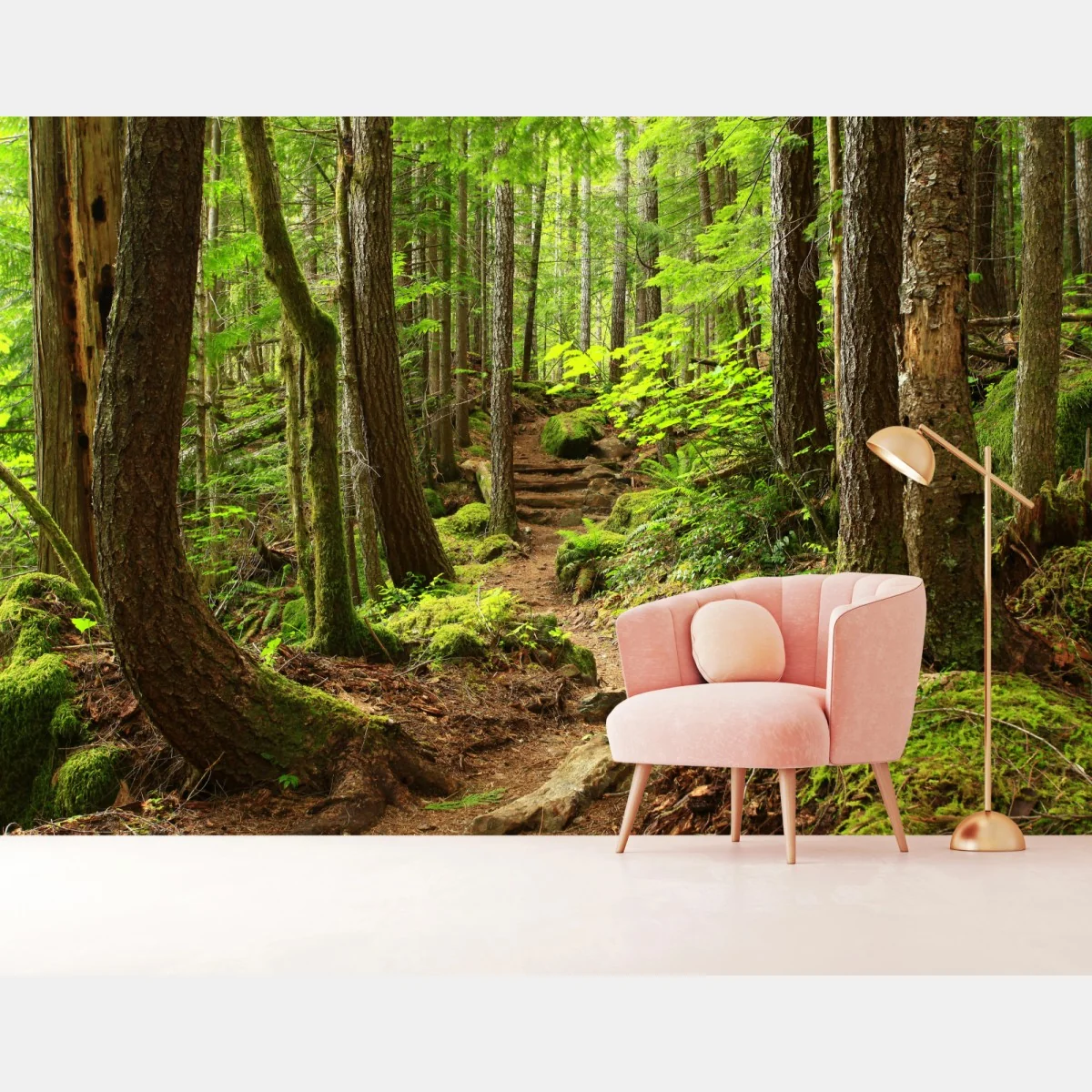 Fototapeta mchowa leśna ścieżka – Wallissimo® Fototapeta mchowa leśna ścieżka – Wallissimo®