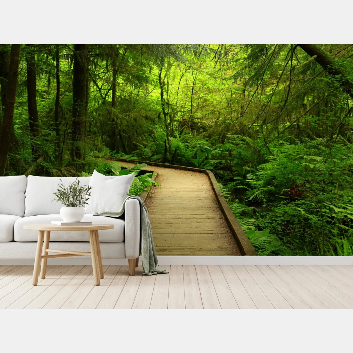 Fototapeta spokojna zielona kładka leśna – Wallissimo® Fototapeta spokojna zielona kładka leśna – Wallissimo®