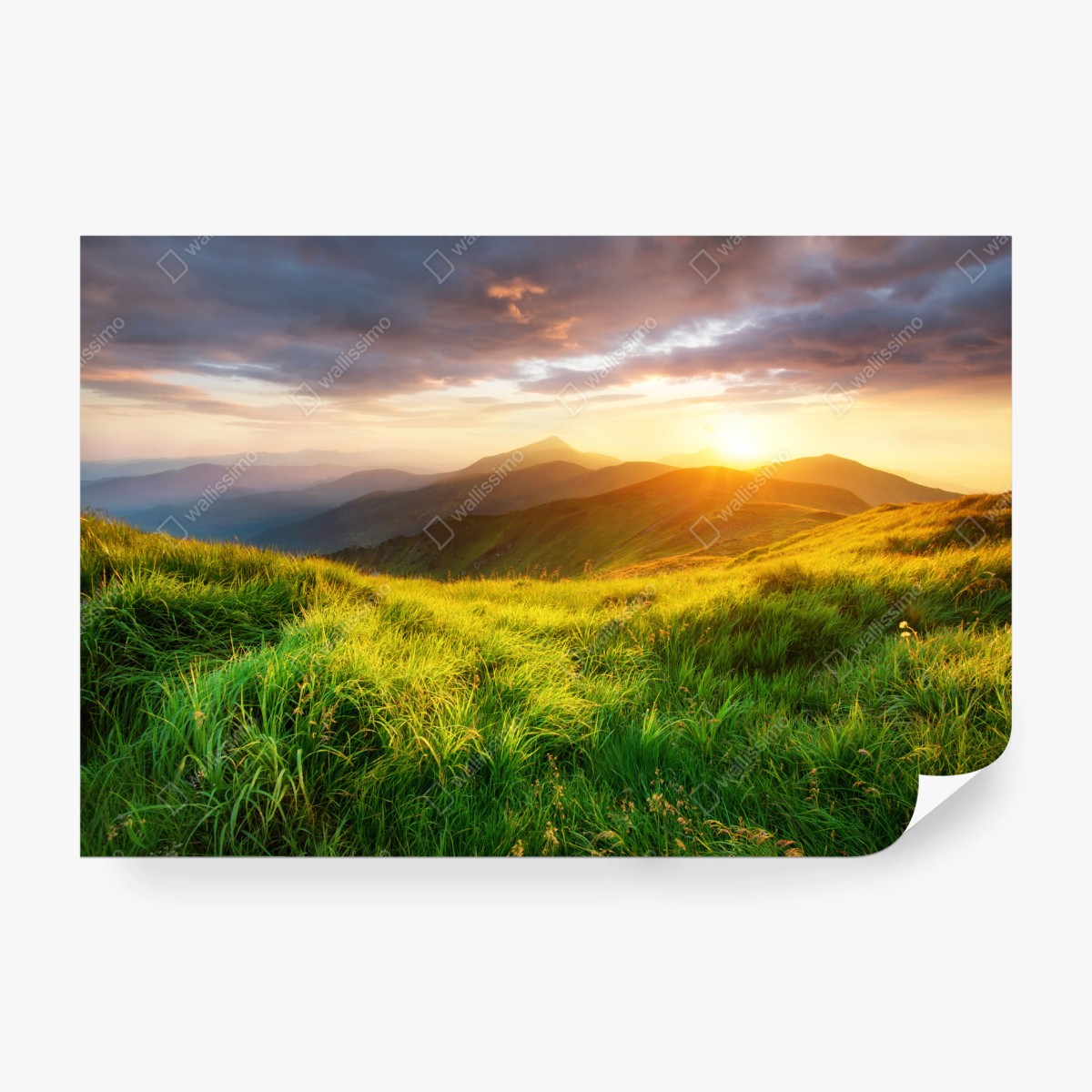 Fototapeta słoneczna górska łąka o wschodzie słońca – Wallissimo® Fototapeta słoneczna górska łąka o wschodzie słońca – Wallissimo®