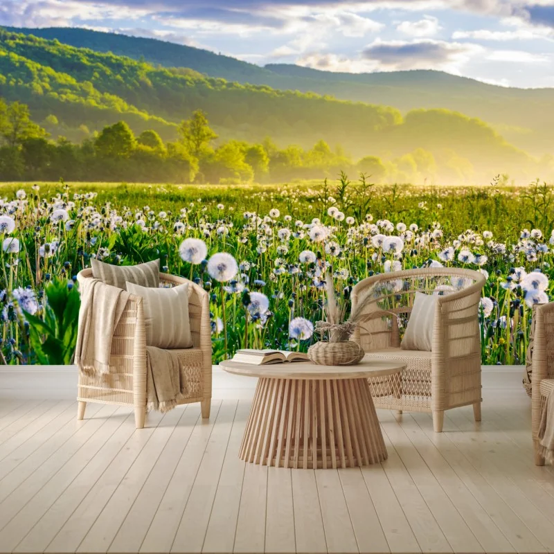 Fototapeta mglista łąka mleczy o wschodzie słońca – Wallissimo® Fototapeta mglista łąka mleczy o wschodzie słońca – Wallissimo®