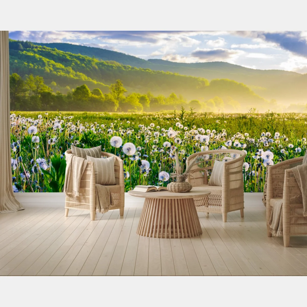 Fototapeta mglista łąka mleczy o wschodzie słońca – Wallissimo® Fototapeta mglista łąka mleczy o wschodzie słońca – Wallissimo®