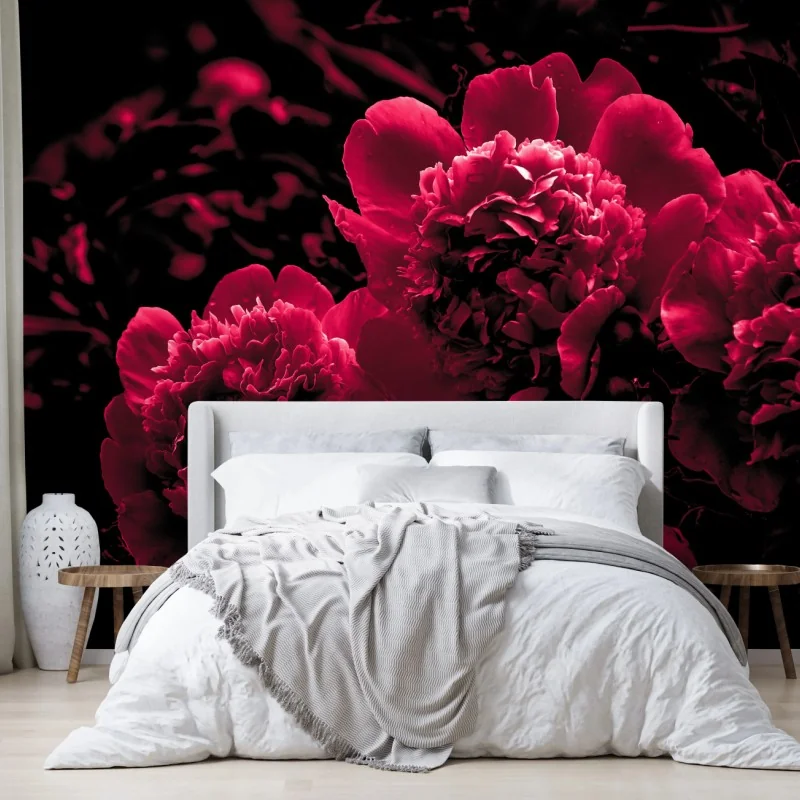 Fototapeta nastrojowe różowe piwonie – Wallissimo® Fototapeta nastrojowe różowe piwonie – Wallissimo®