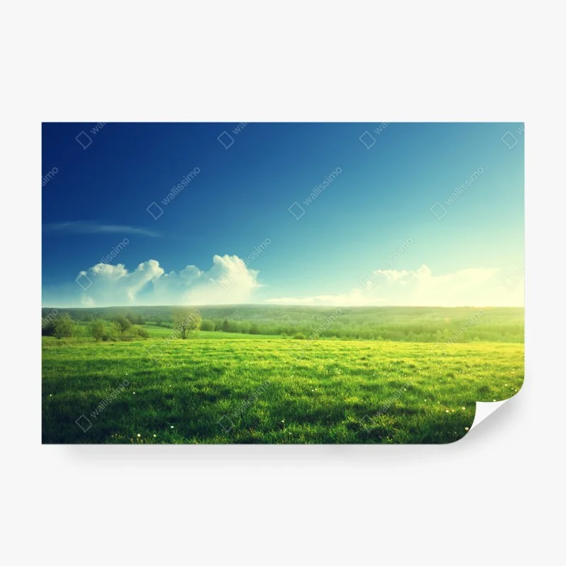 Fototapeta turkusowa laguna z skalistą wyspą – Wallissimo®