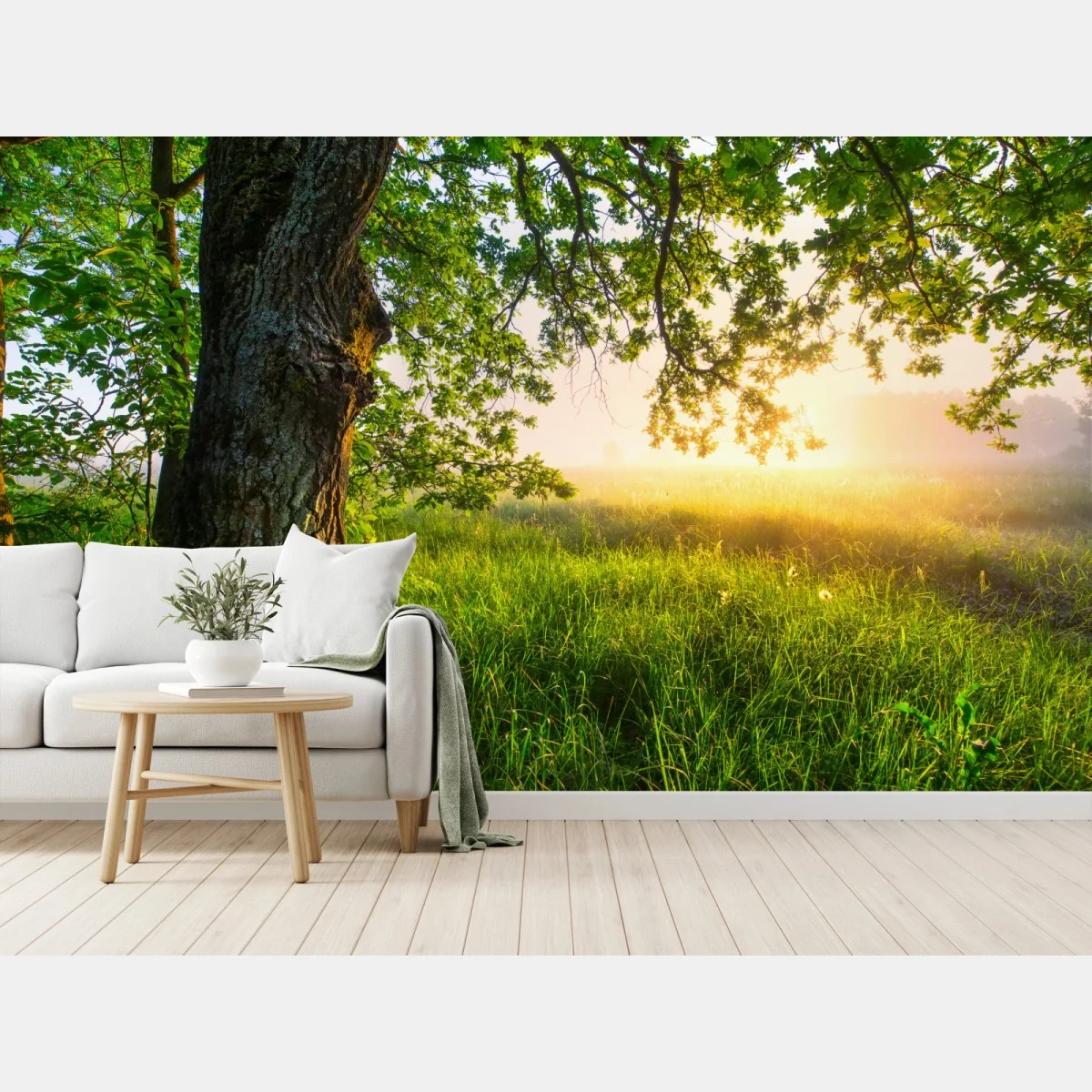 Fototapeta poranny dąb na rozświetlonej łące – Wallissimo® Fototapeta poranny dąb na rozświetlonej łące – Wallissimo®