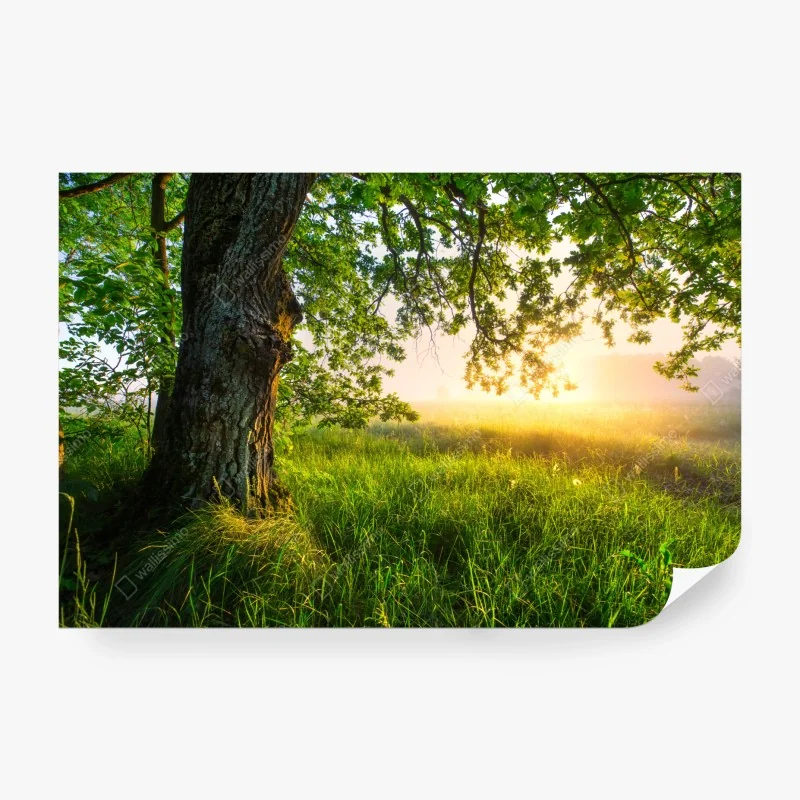 Fototapeta panorama wybrzeża Miraflores, Lima – Wallissimo®