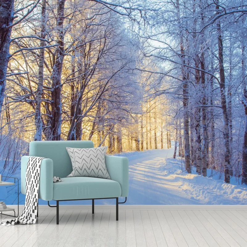 Fototapeta zimowy las brzozowy ze złotym świtem – Wallissimo® Fototapeta zimowy las brzozowy ze złotym świtem – Wallissimo®