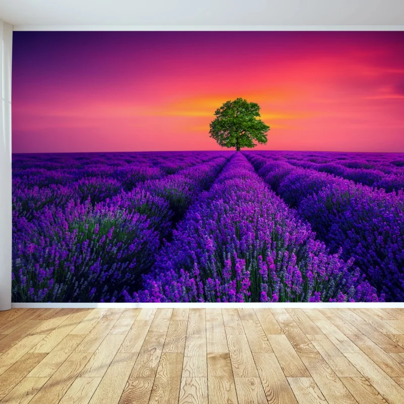 Fototapeta pole lawendy o zachodzie słońca z samotnym drzewem – Wallissimo® Fototapeta pole lawendy o zachodzie słońca z samotnym drzewem – Wallissimo®