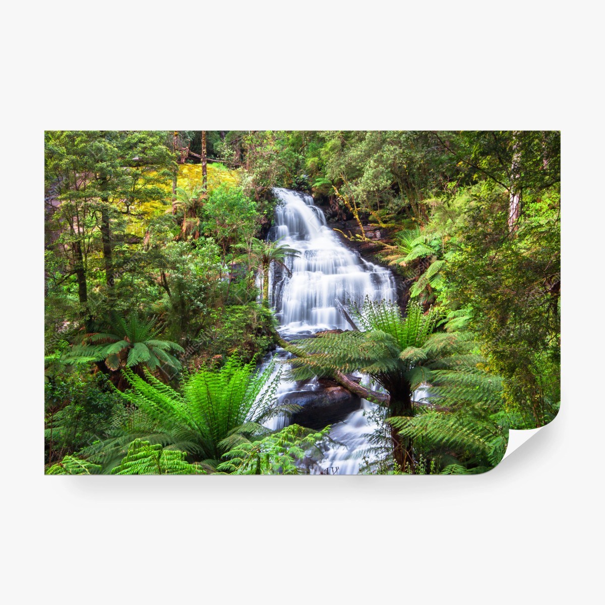 Fototapeta Triplet Falls wodospad w Great Otway National Park – Wallissimo® Fototapeta Triplet Falls wodospad w Great Otway National Park – Wallissimo®