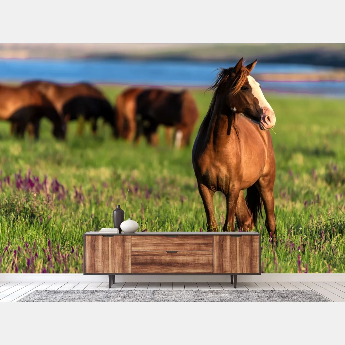Fototapeta majestatyczny brązowy koń na słonecznej łące – Wallissimo® Fototapeta majestatyczny brązowy koń na słonecznej łące – Wallissimo®