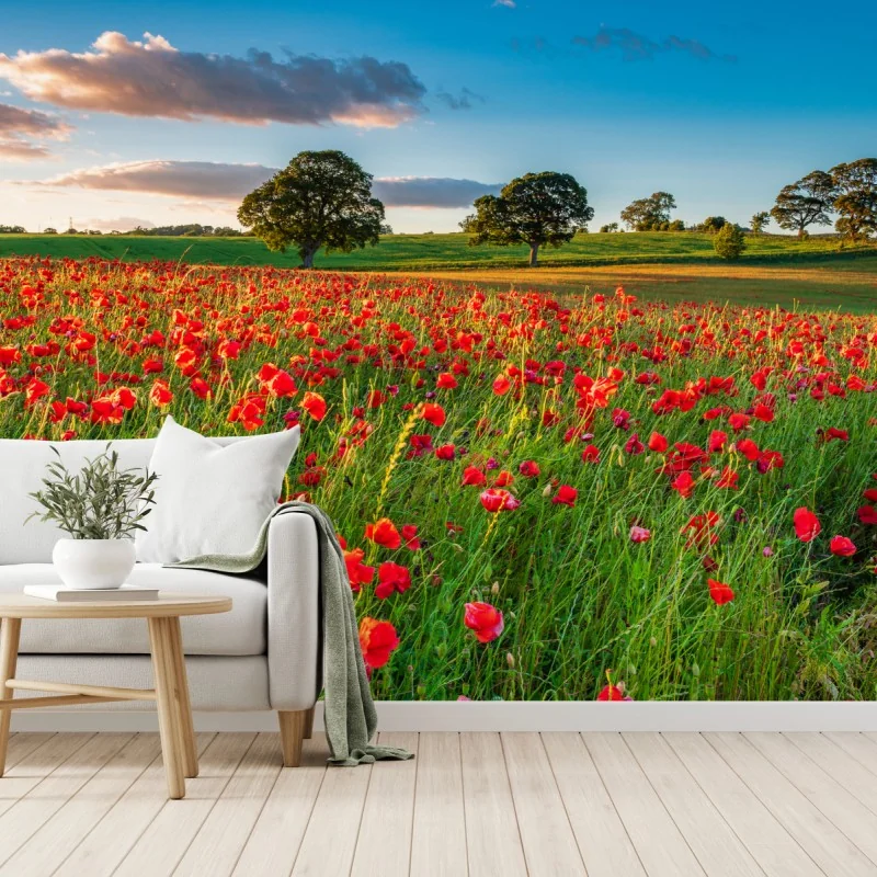 Fototapeta pole czerwonych maków koło Corbridge – Wallissimo® Fototapeta pole czerwonych maków koło Corbridge – Wallissimo®