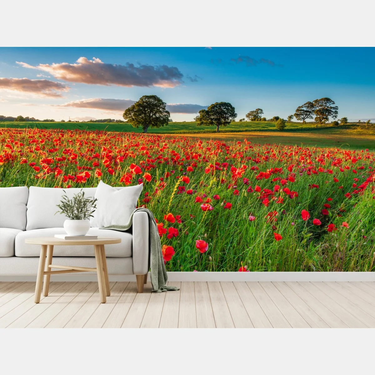 Fototapeta pole czerwonych maków koło Corbridge – Wallissimo® Fototapeta pole czerwonych maków koło Corbridge – Wallissimo®