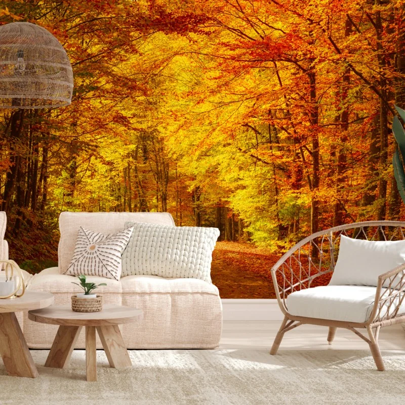 Fototapeta złota jesienna ścieżka w lesie – Wallissimo® Fototapeta złota jesienna ścieżka w lesie – Wallissimo®