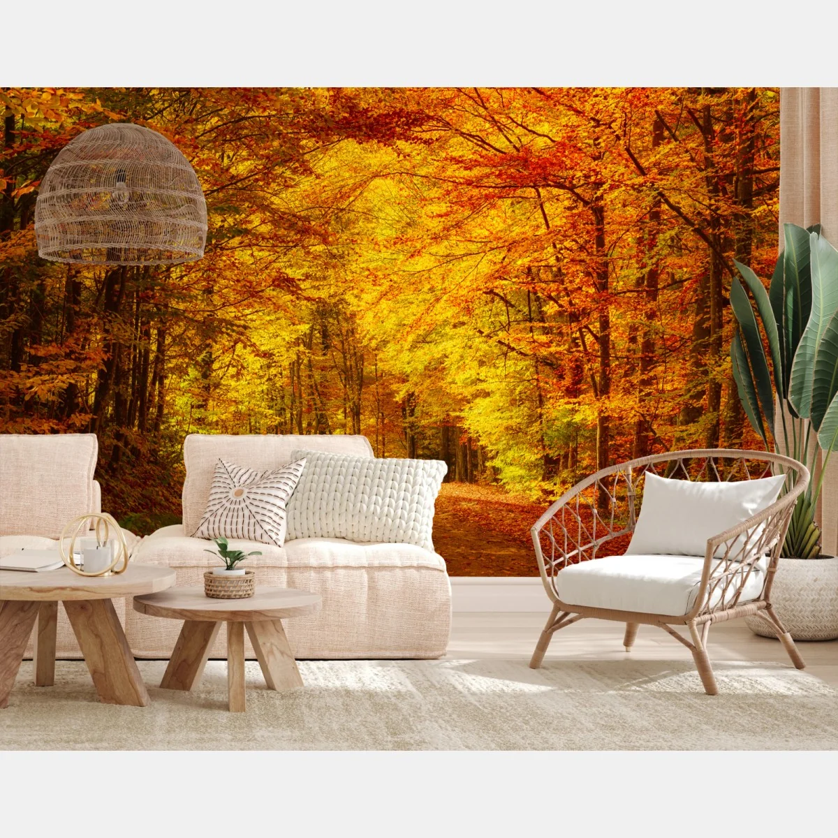 Fototapeta złota jesienna ścieżka w lesie – Wallissimo® Fototapeta złota jesienna ścieżka w lesie – Wallissimo®