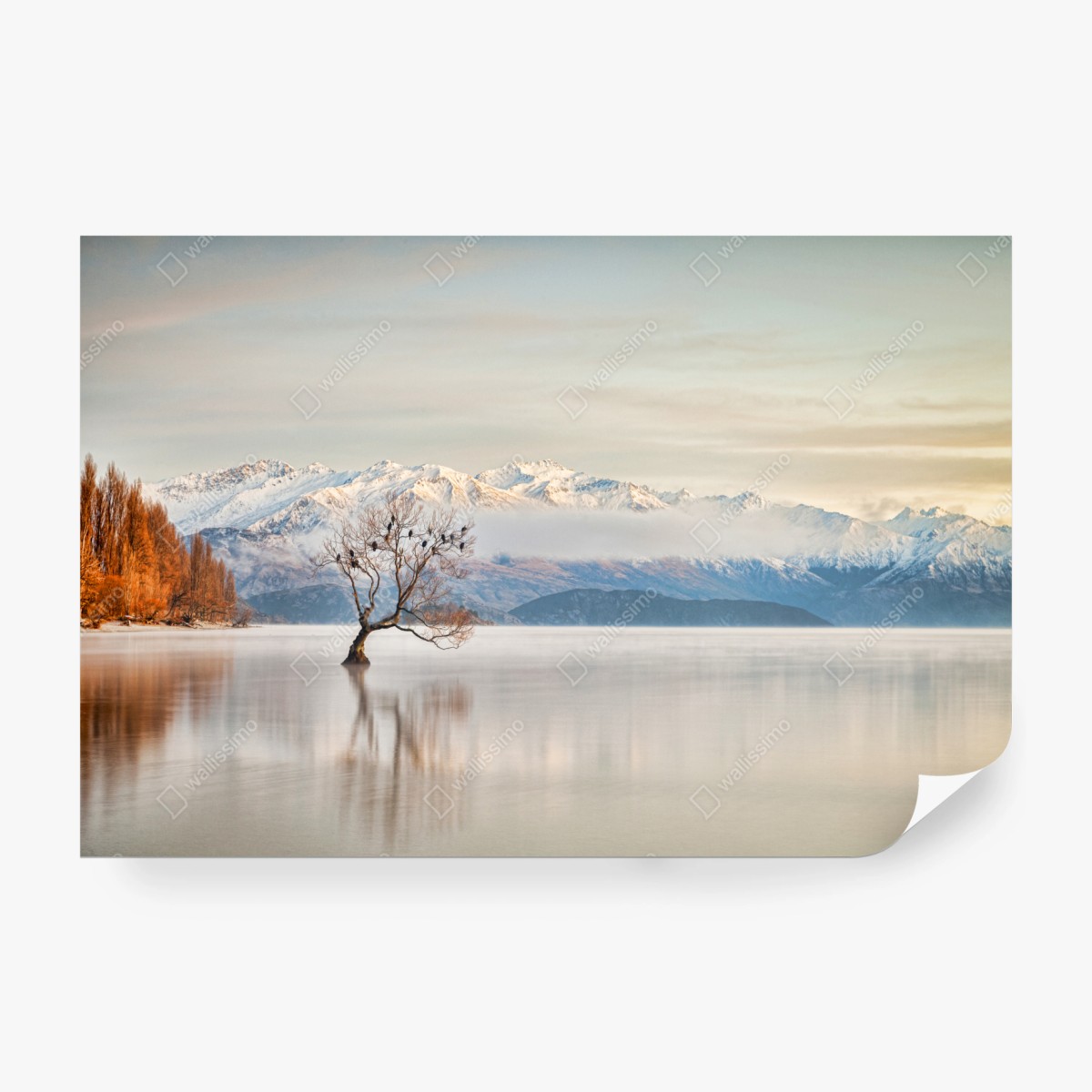 Fototapeta samotne drzewo nad jeziorem Wanaka – Wallissimo® Fototapeta samotne drzewo nad jeziorem Wanaka – Wallissimo®