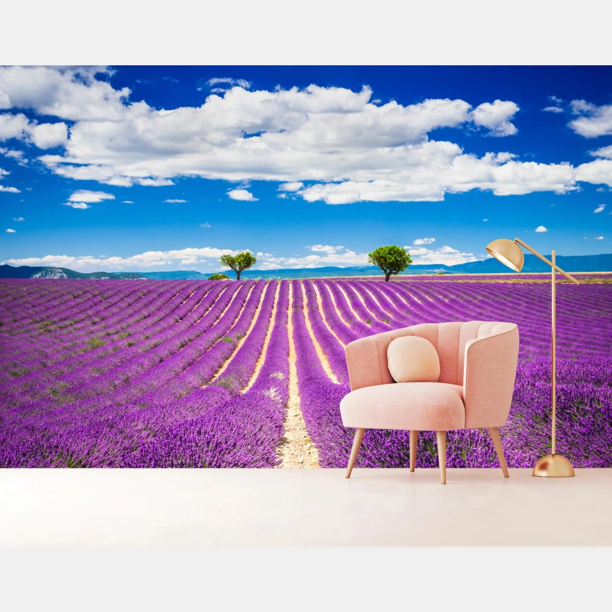 Fototapeta pola lawendy w Prowansji – Wallissimo® Fototapeta pola lawendy w Prowansji – Wallissimo®