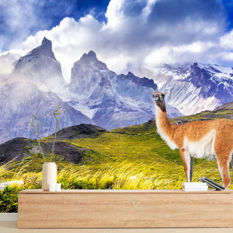 Fototapeta Torres del Paine Patagonia krajobraz z guanako – Wallissimo® Fototapeta Torres del Paine Patagonia krajobraz z guanako – Wallissimo®