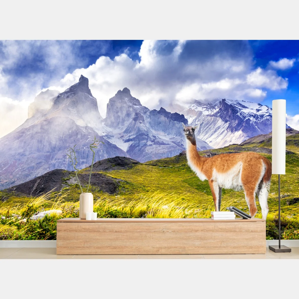 Fototapeta Torres del Paine Patagonia krajobraz z guanako – Wallissimo® Fototapeta Torres del Paine Patagonia krajobraz z guanako – Wallissimo®