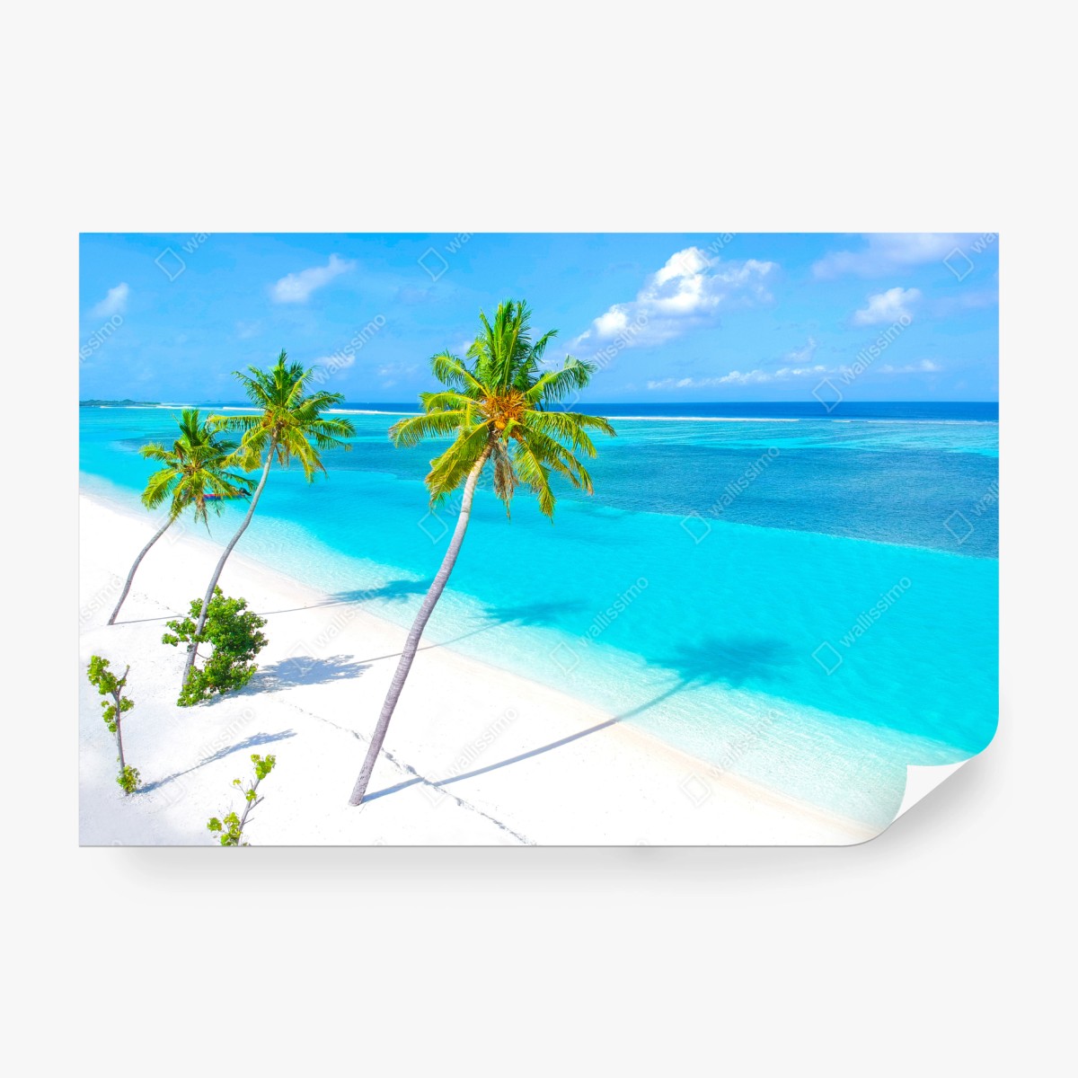 Fototapeta tropikalna turkusowa plaża z palmami – Wallissimo® Fototapeta tropikalna turkusowa plaża z palmami – Wallissimo®