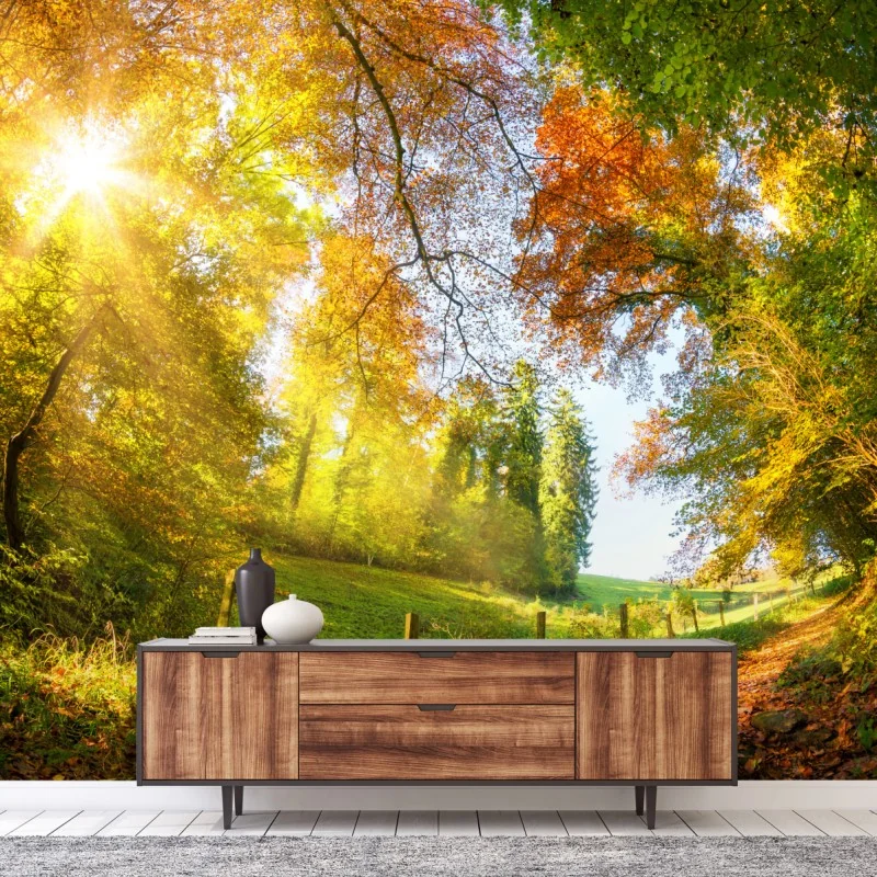 Fototapeta złota jesienna ścieżka przez las – Wallissimo® Fototapeta złota jesienna ścieżka przez las – Wallissimo®