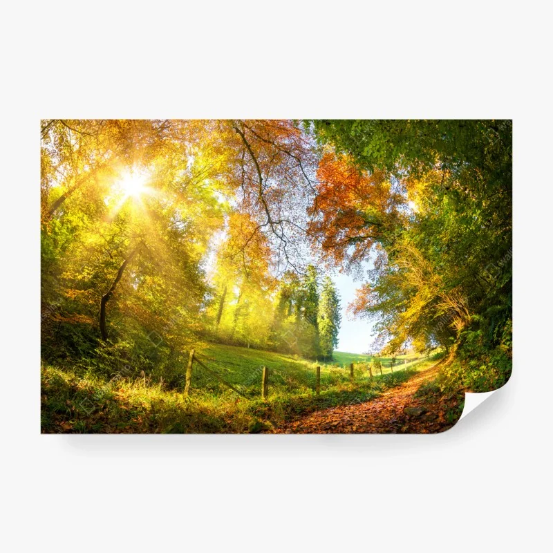 Fototapeta tropikalna plaża z palmami – Wallissimo®