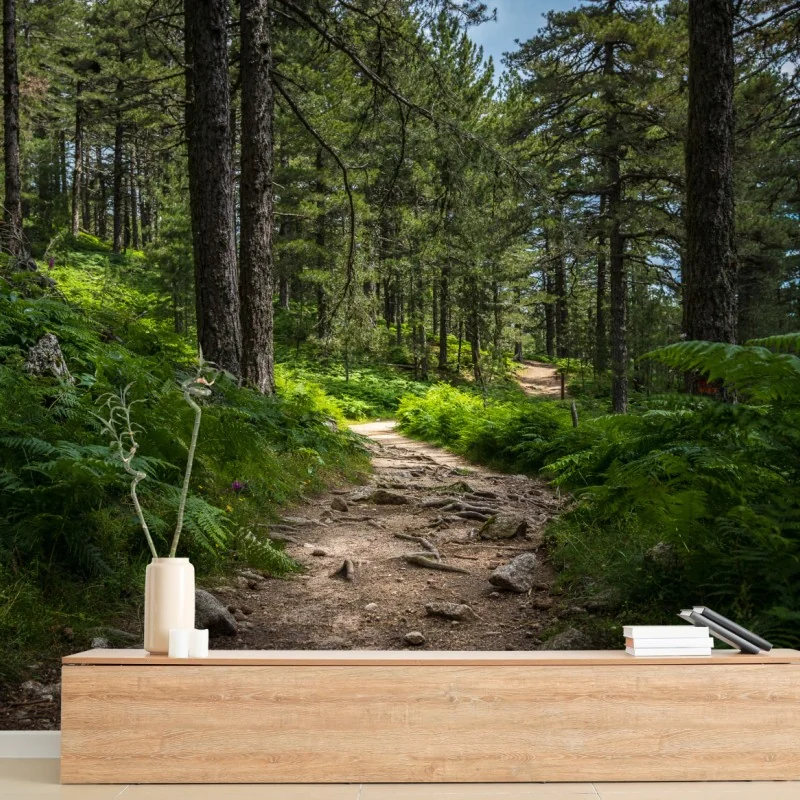 Fototapeta spokojna ścieżka leśna wśród bujnej zieleni – Wallissimo® Fototapeta spokojna ścieżka leśna wśród bujnej zieleni – Wallissimo®